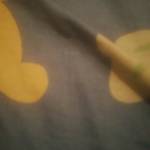 Apolonia Oluoch Profile Picture