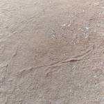 Luul Osman Profile Picture