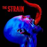 Kelvin Mbaire Profile Picture