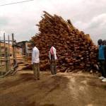 Allahu Timber supplies Profile Picture