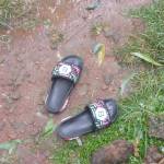 Samuel Wanjala Profile Picture