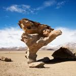 Rafael Rosa Profile Picture