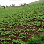 JOSHUA Mitey Profile Picture