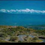 Sylvia Koech Profile Picture