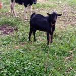 Herbz John Profile Picture