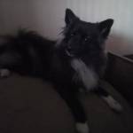 Pandora Profile Picture