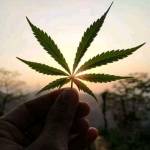 Ekhale Seja Profile Picture