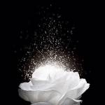 Eva Munyua Profile Picture