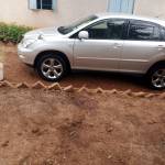 Stephen Ndunguru Profile Picture