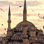 ham kints Profile Picture