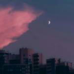 james bo Profile Picture