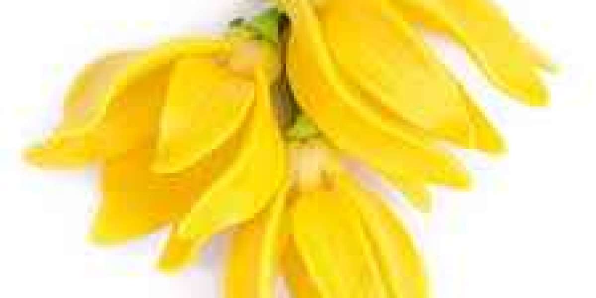 Ylang ylang essential oil:its uses ,benefits and side effects