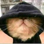 Skhulile Sthole Profile Picture