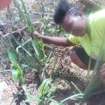 Mirriam Mumo Profile Picture