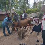 Moses Kodia Maloba Profile Picture