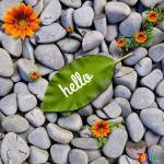 Kibet Byegon Profile Picture