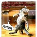 Enock Musee Profile Picture