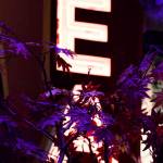 Emmanuel Mutuku Profile Picture