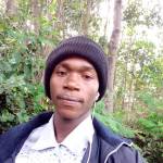 Griffins Aruba Profile Picture