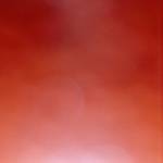 Angel Iradukunda Profile Picture