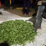 Sylvestor Musyoki Profile Picture