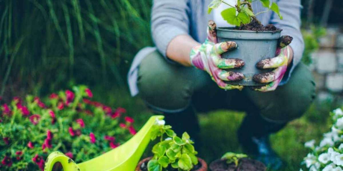 Essay on Gardening | Gardening Essay for Students and Children