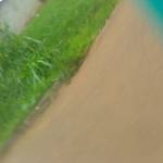 Linet Awino Profile Picture