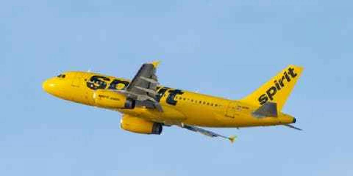 Why Spirit Airlines Brought Back Its Airbus A319s <br>byJay Singh
