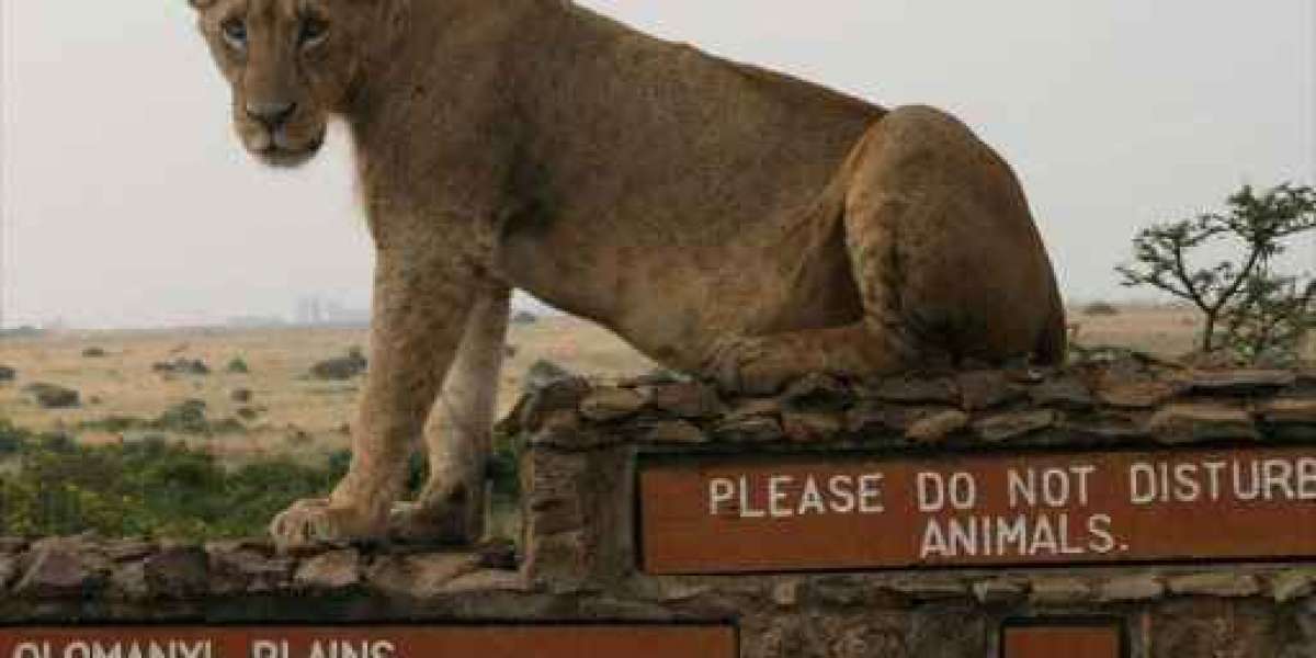 Nature lovers warn of impending end of Nairobi National Park.