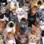 Elly wafula Profile Picture