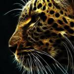 Leonard Leopard Profile Picture