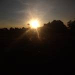 Brenda Bungei Profile Picture