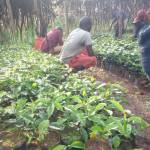 Vincent Nzamu Profile Picture