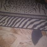 Saepul Maulana Profile Picture