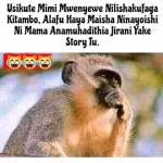 Zepha Wesley Profile Picture