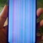 Samuel Muchir Profile Picture