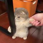 Baraka Nyange Profile Picture