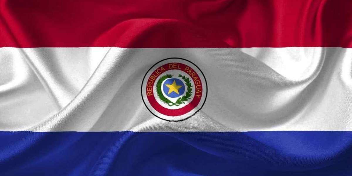 PARAGUAY’S BITCOIN [BTC] BILL TARGETS MINING AND TRADING