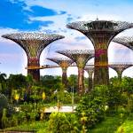 Gassanto Dipatowa Profile Picture