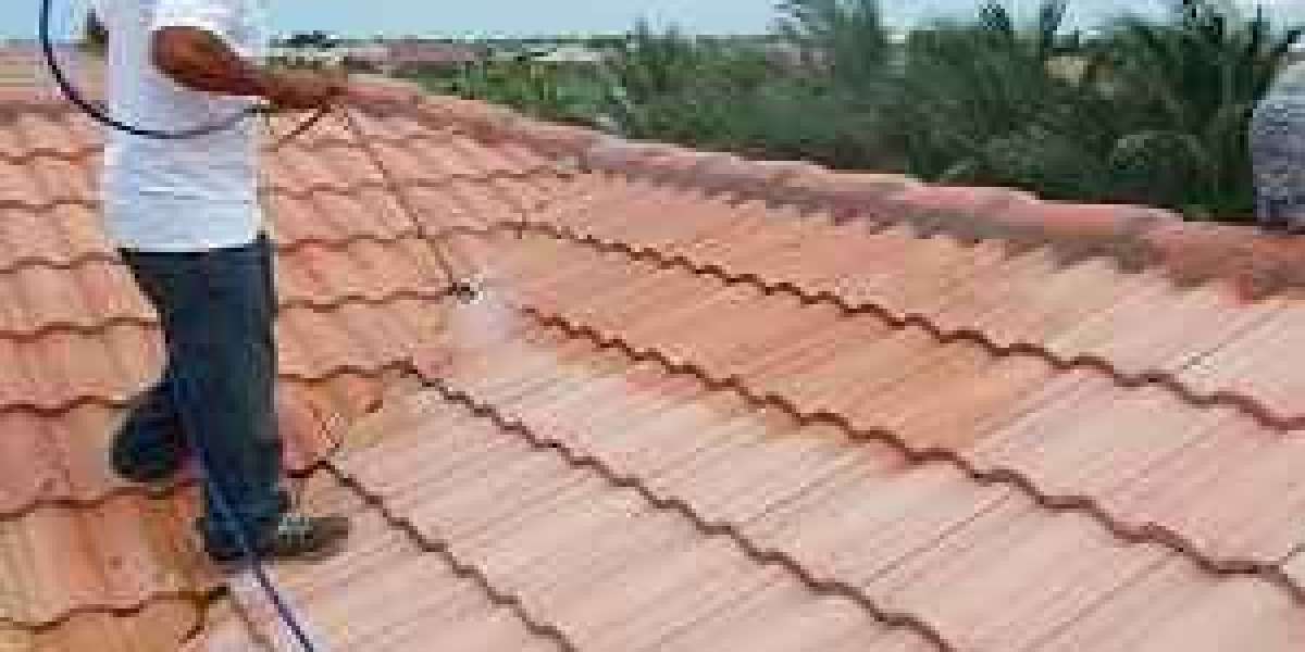 Decent Soft Wash Roof Cleaning in Miami