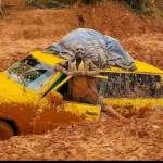 Simon Kitonga Profile Picture