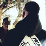 Samy Miçhael Profile Picture