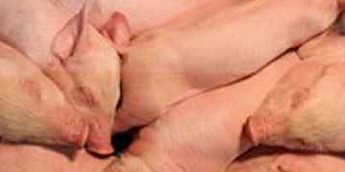 Would you wish know more about reproduction in pigs, check mi article.