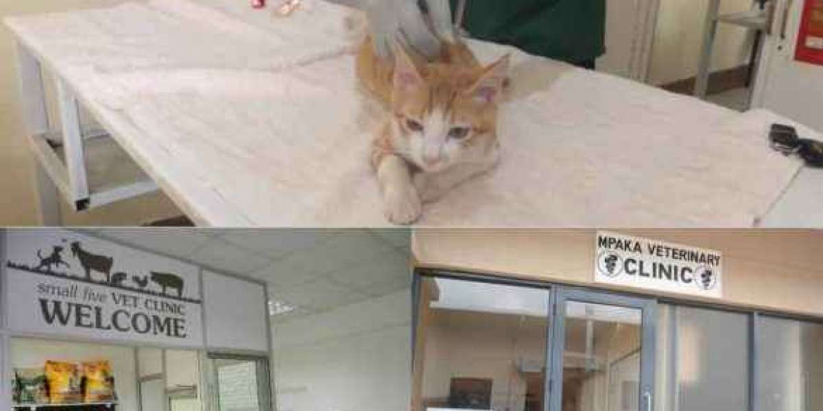 Veterinary Clinics In Kenya