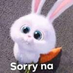 Rudy Abella Profile Picture