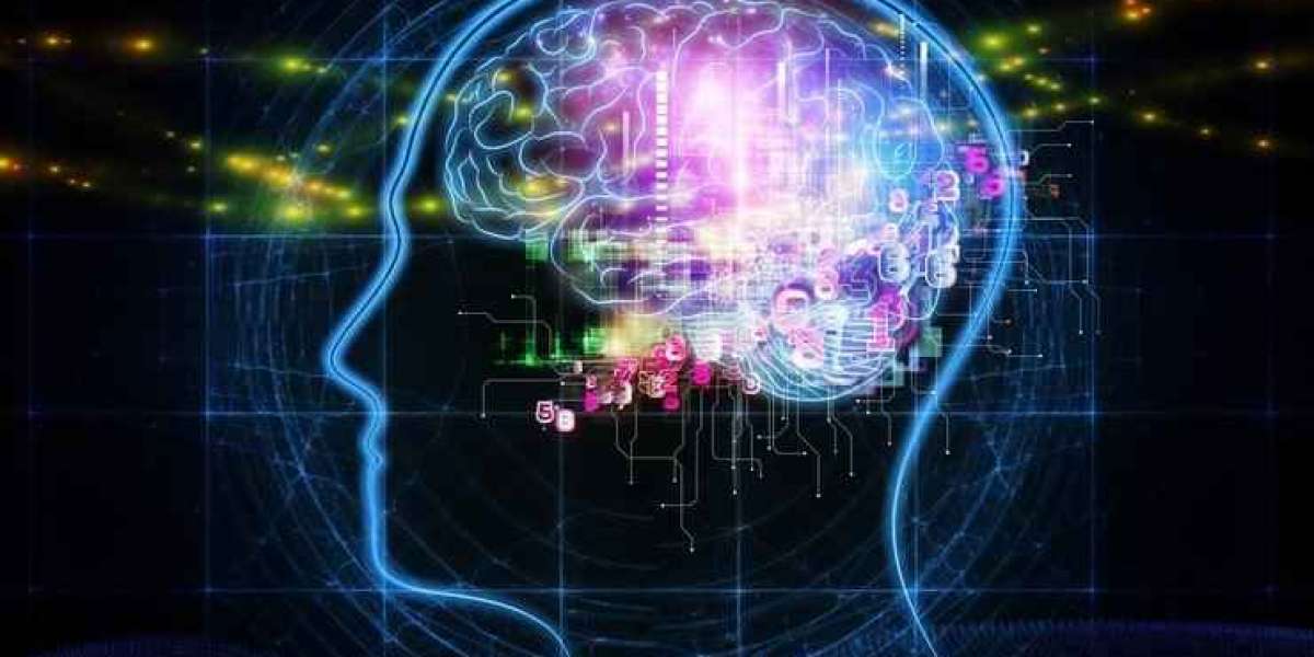 Why Are Nootropics for Brain Enhancement So Popular?