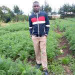 David Ngaruiya Profile Picture