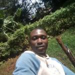 Dennis Ndegwa Profile Picture