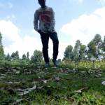 Benard kiptoo Towet Profile Picture