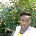 Harmony Nyota Profile Picture